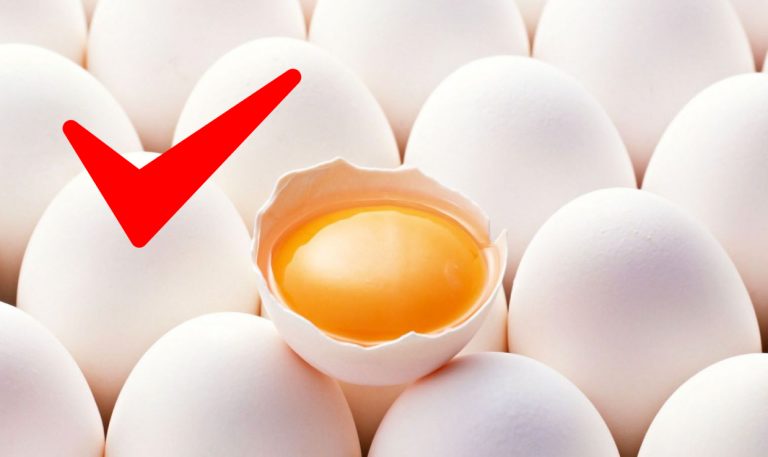 Yumurta Sarısı ve Omega-3 Hakkında Mutlaka Bilmeniz Gerekenler