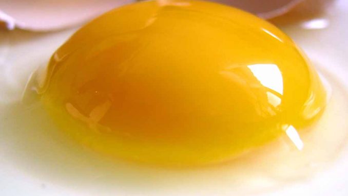 yumurta-sarisi-omega-3
