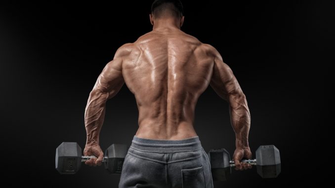 bodybuilding_men_human_487388
