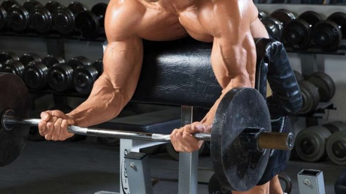 curl-egzersizi-fly-egzersizi-overhead-press-egzersizi