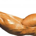 vucut-gelistirme-en-iyi-10-biceps