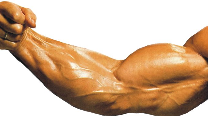vucut-gelistirme-en-iyi-10-biceps