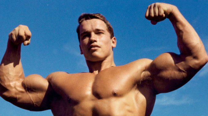 arnold-schwarzenegger-rotator2_0
