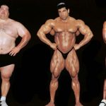 ektomorf-mezomorf-endomorf