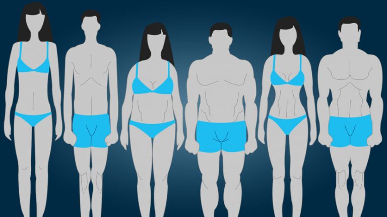 Ektomorf, Mezomorf ve Endomorf Vücut Tiplerinin Antrenmanlarla ve Beslenmeyle İlişkisini Açıklıyoruz