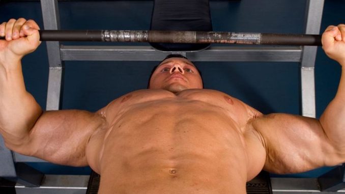 bulking-donemi