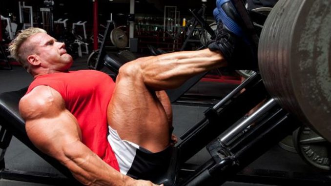 Leg-Press