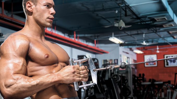 SEATED CABLE ROW