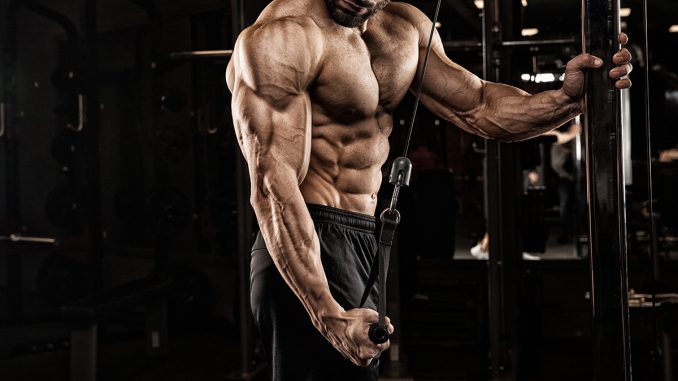 en-etkili-triceps-antrenmani en-etkili-triceps-antrenmani