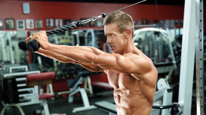 ust-duzey-triceps-gelisimi-icin-2-antrenman-modeli ust-duzey-triceps-gelisimi-icin-2-antrenman-modeli