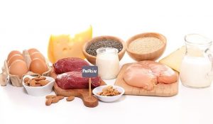 beslenmede proteinin önemi nedir